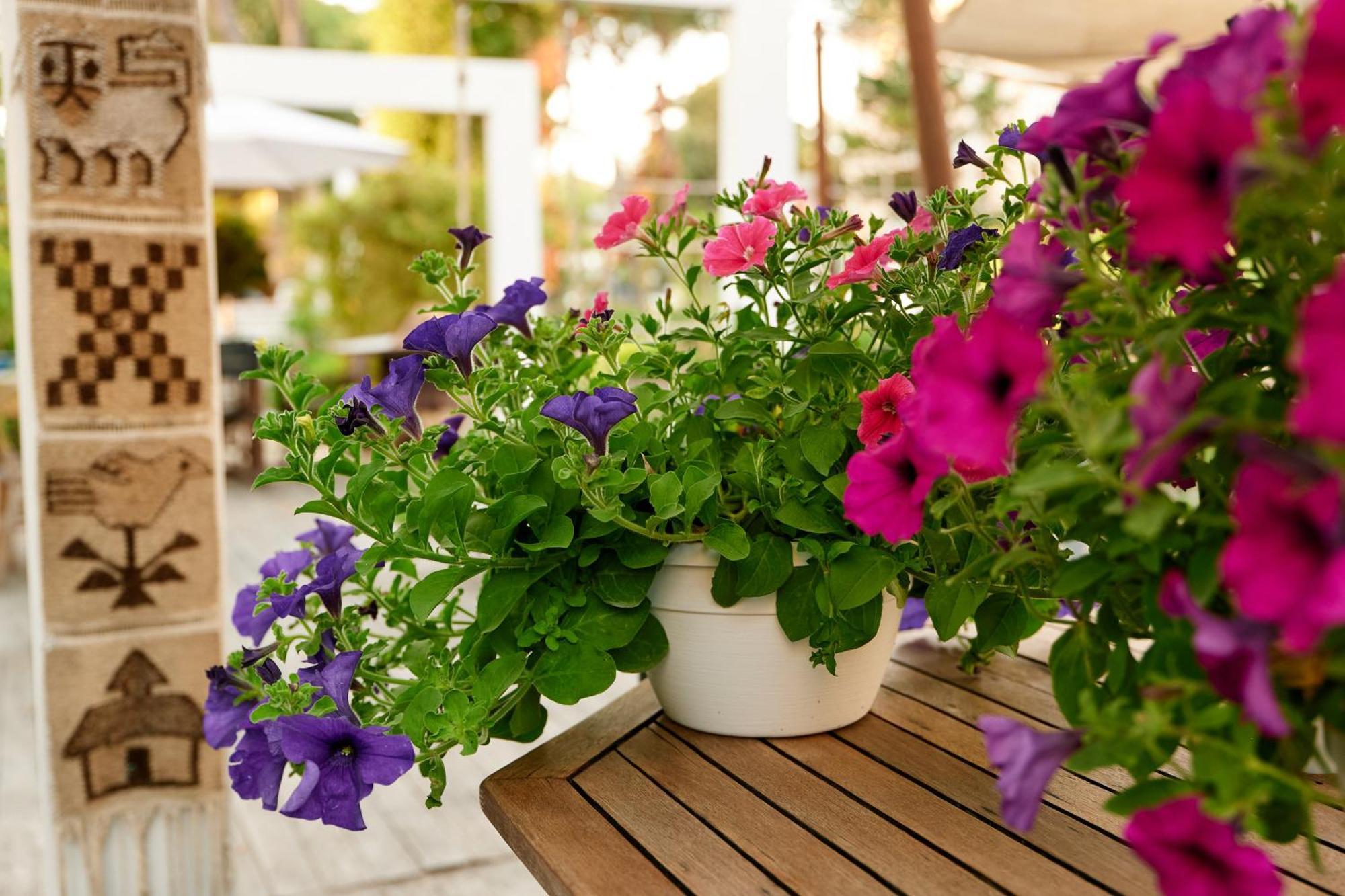 Hotel Saraceno Resort With Private Beach Milano Marittima Exterior foto